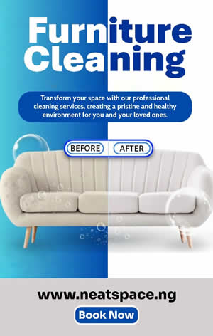 expert couch cleaning